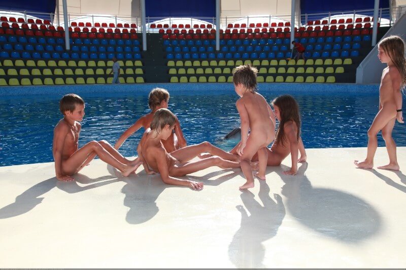 Swimming dolphins photo gallery - Private nudist club