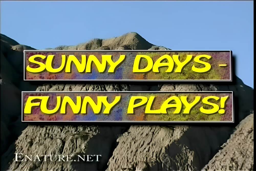 Enature - Sunny Days – Funny Plays - Self-confidence helps naturists achieve their goals