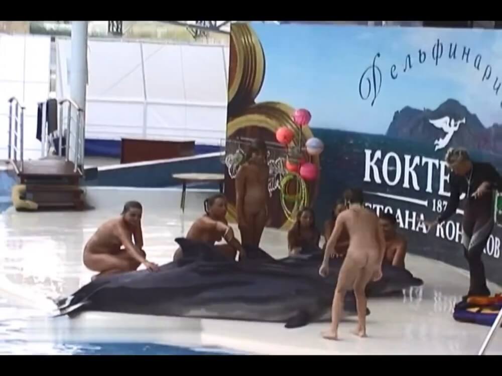 Relaxing at the dolphinarium - Openness to the world and new ideas is a defining trait of naturists and nudists