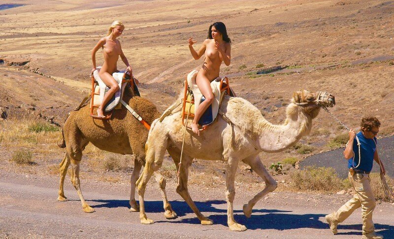 Funny Moments Life pics - What did you know about nudism